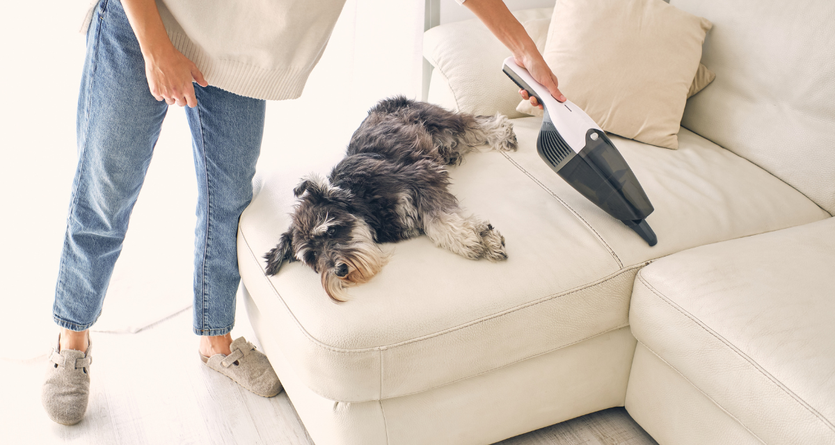 The best pet vacuum deals at Amazon this week