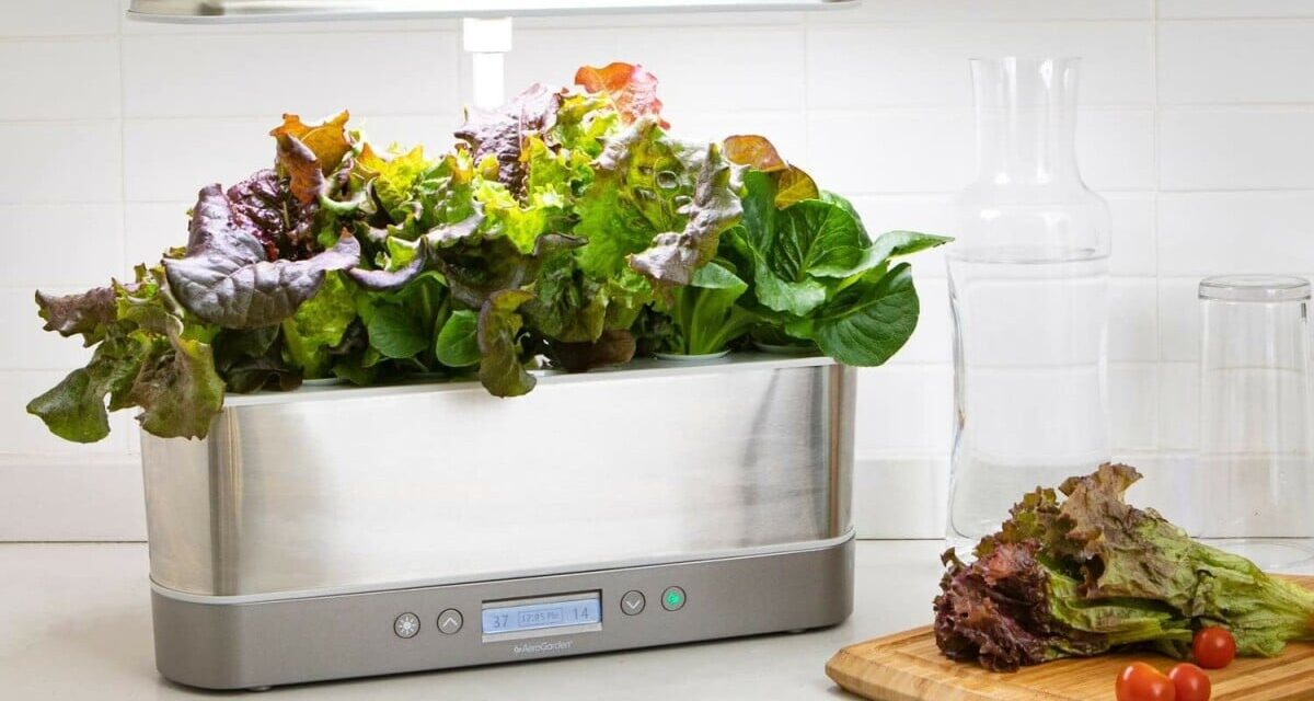 Best home deal: Get the AeroGarden Harvest Elite Slim for 43% off at Amazon